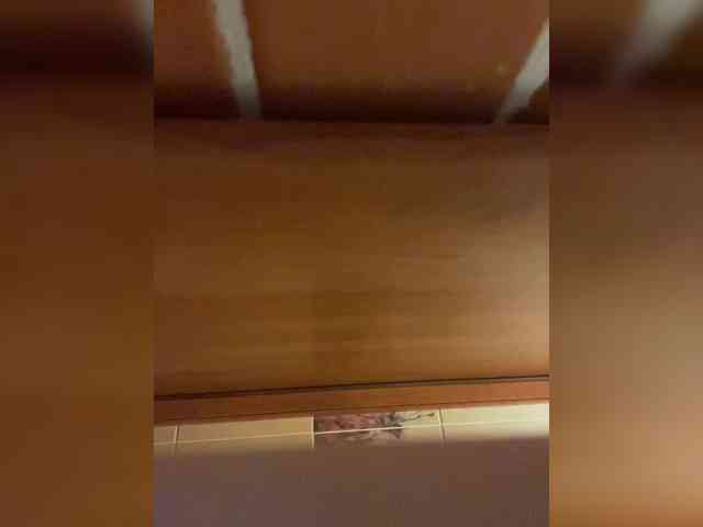 SaliiOnli webcam