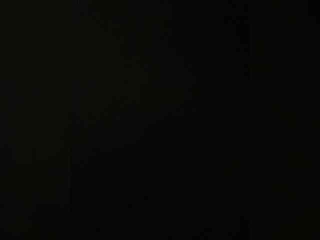 SaliiOnli webcam