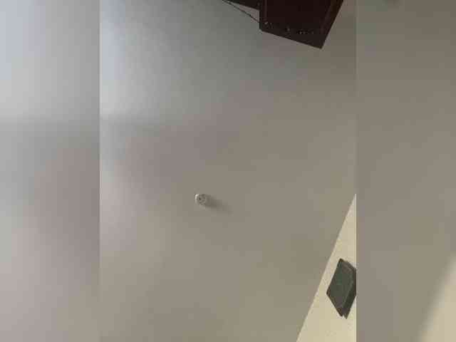 SaliiOnli webcam