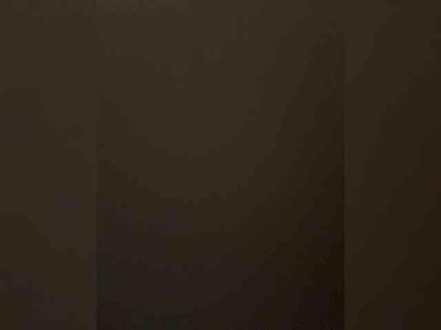 SaliiOnli webcam
