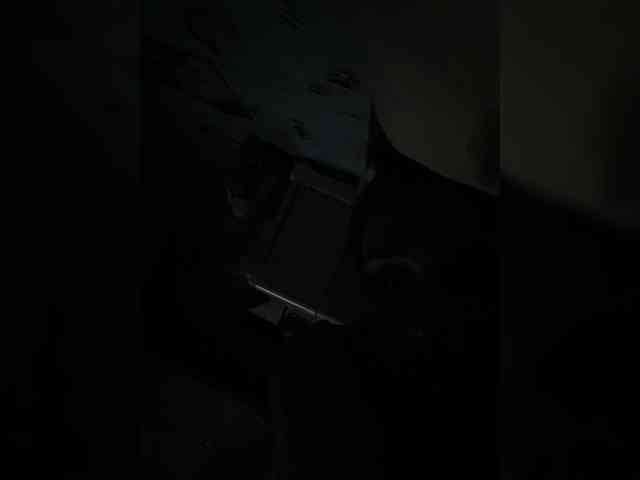 SaliiOnli webcam