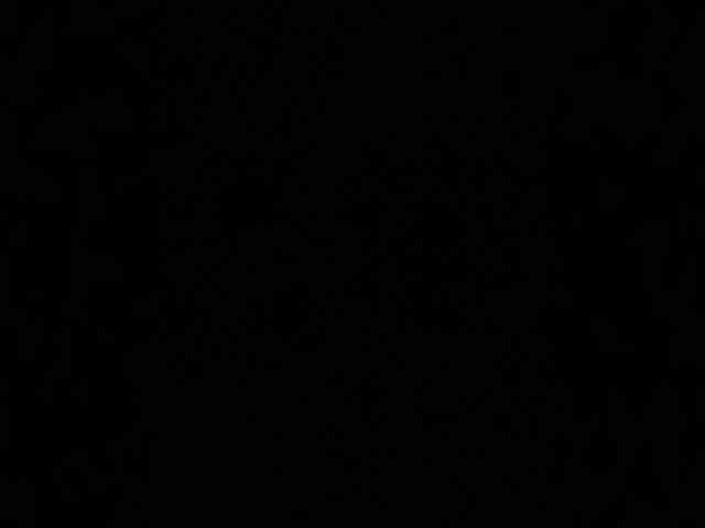 SaliiOnli webcam