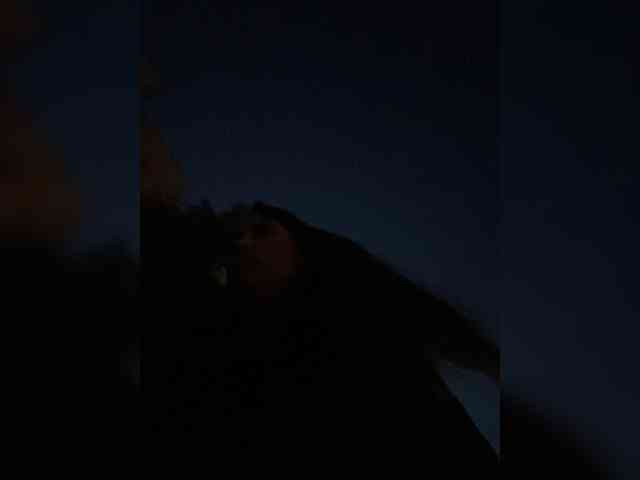 SaliiOnli webcam
