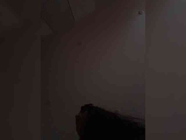 SaliiOnli webcam
