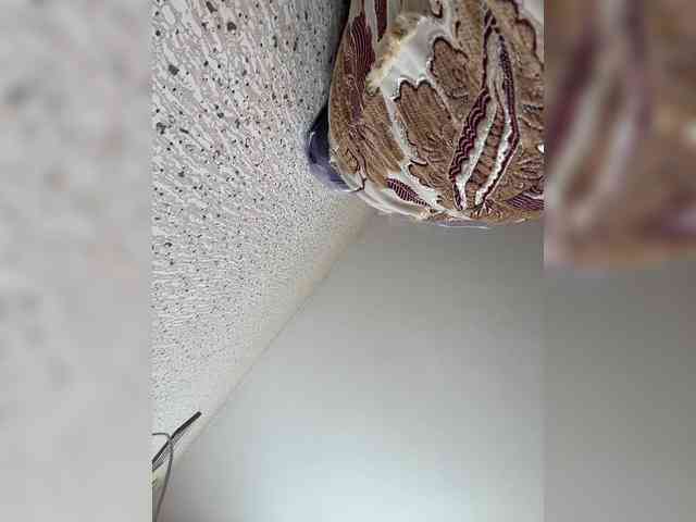 SaliiOnli webcam