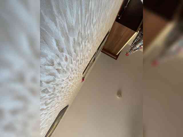 SaliiOnli webcam