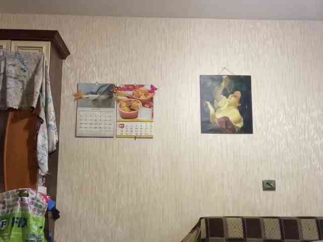 SaliiOnli webcam