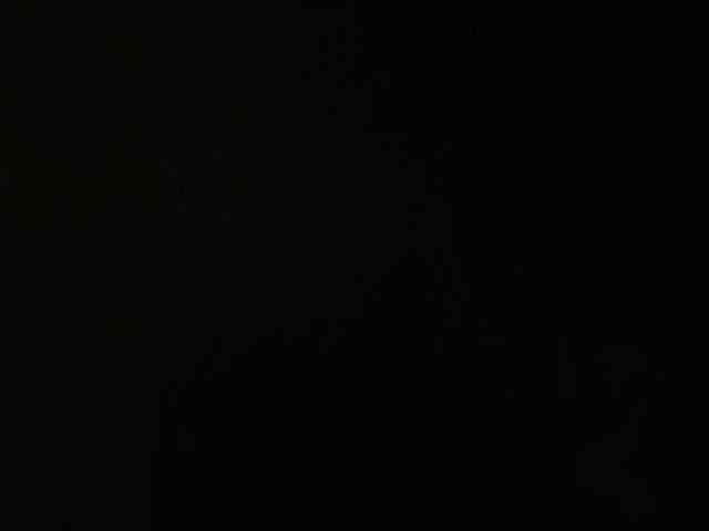 SaliiOnli webcam