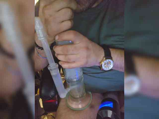 Ctguybia