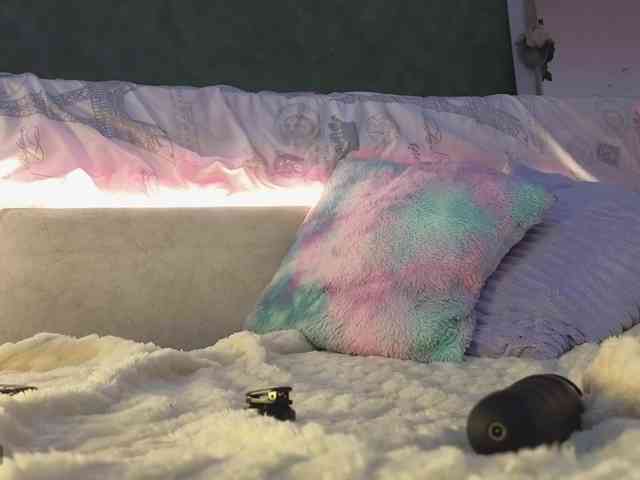 SAORI_16 webcam