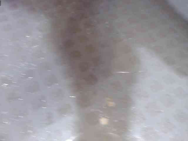 SolVegaa