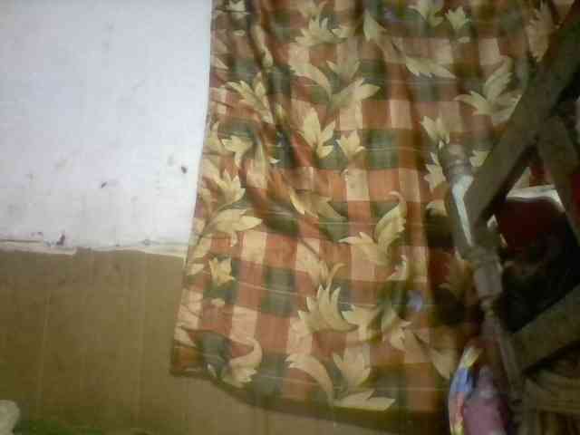 BigHairypussy webcam