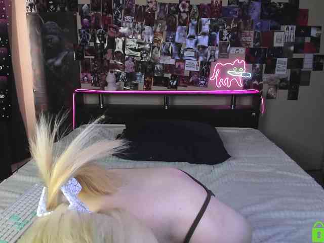 Angel1Bunny webcam