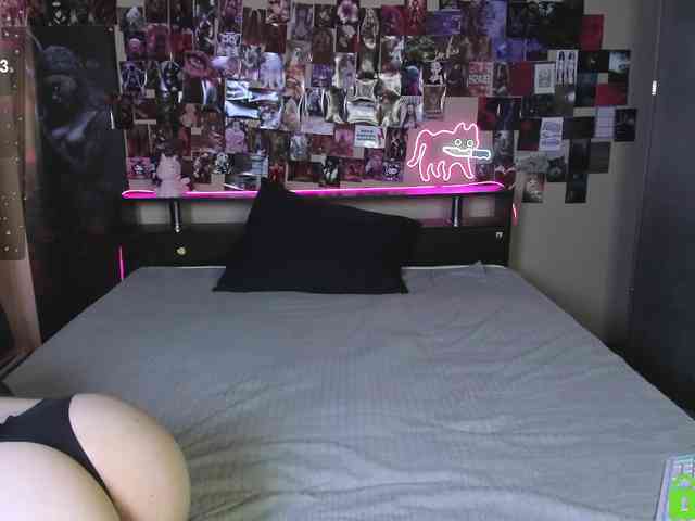 Angel1Bunny webcam
