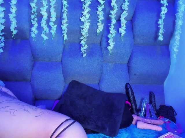 DaniDream live cam on BongaCams