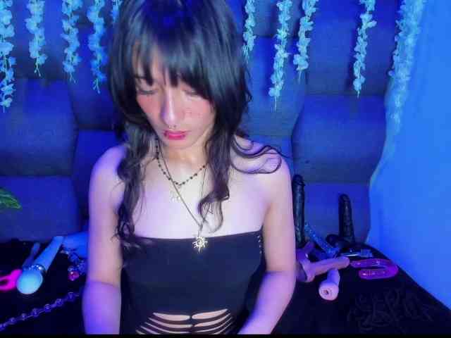 DaniDream