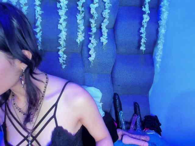 DaniDream