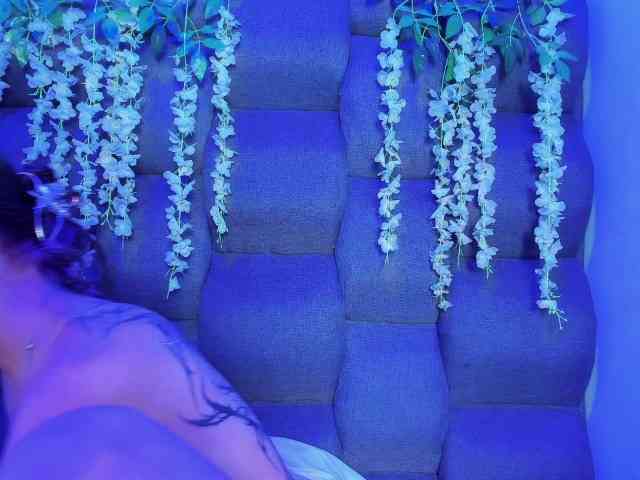 DaniDream webcam