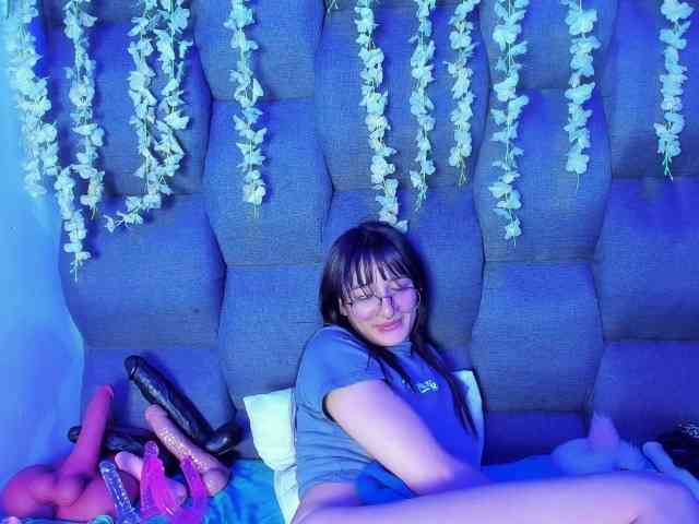 DaniDream
