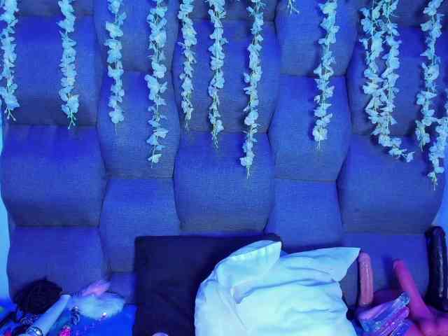 DaniDream webcam