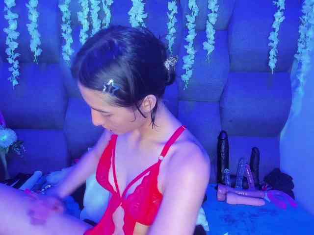 DaniDream webcam