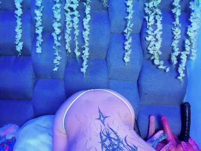 DaniDream