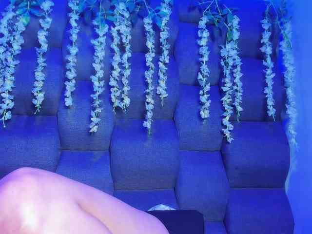 DaniDream
