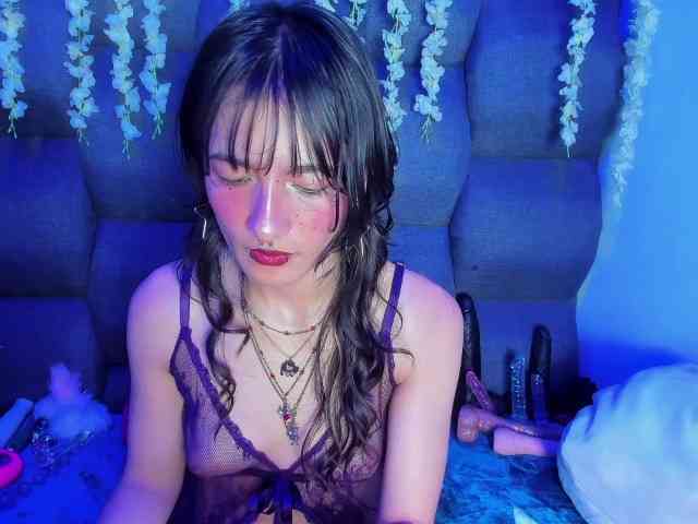DaniDream