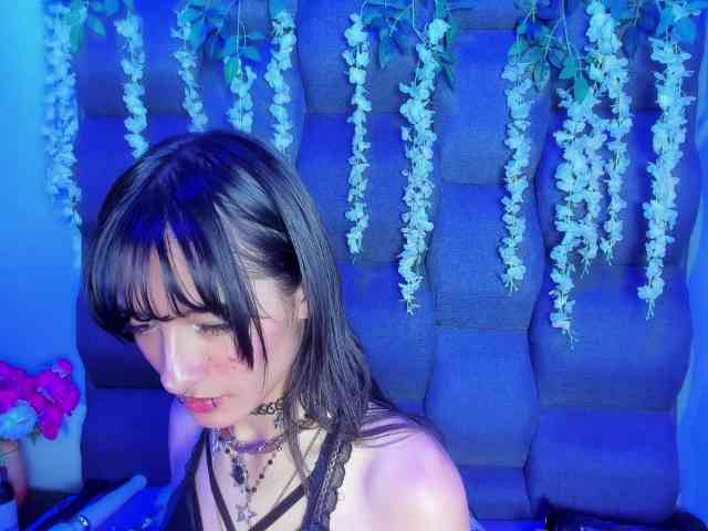 DaniDream