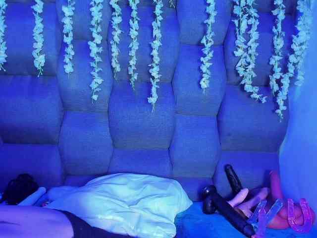 DaniDream webcam