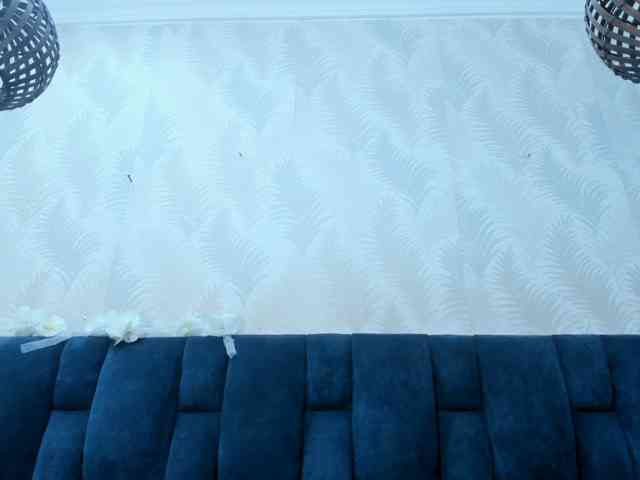 melody-megann's live room