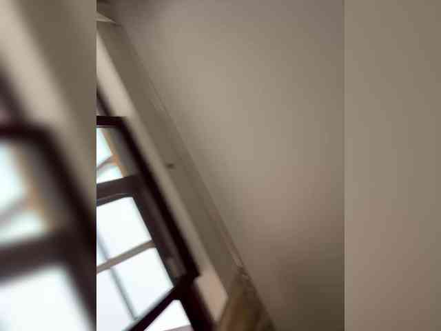 Desirtexz Desirtexz