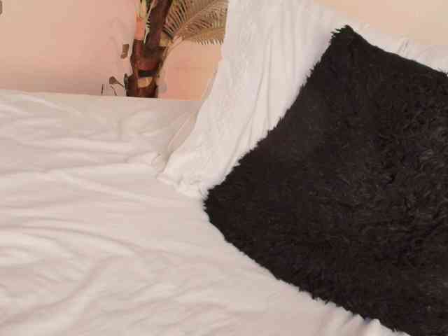 Pammela-Smith webcam
