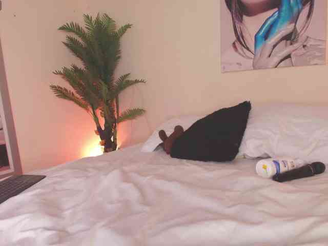 Pammela-Smith webcam