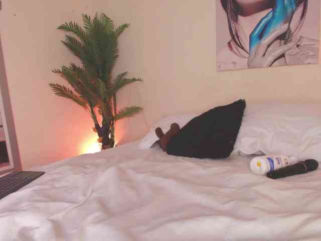 Pammela-Smith webcam