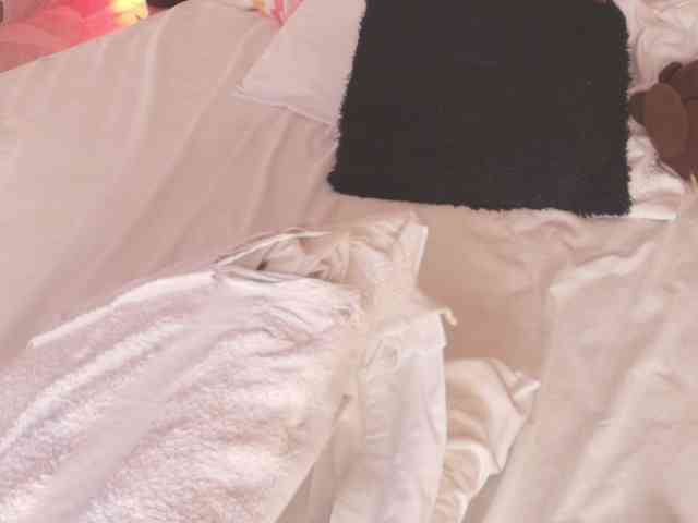 Pammela-Smith webcam