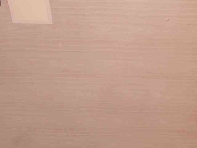Pammela-Smith webcam