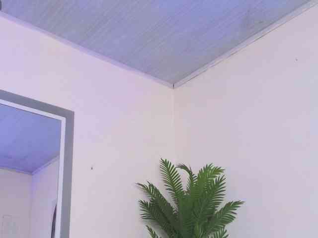 Pammela-Smith webcam