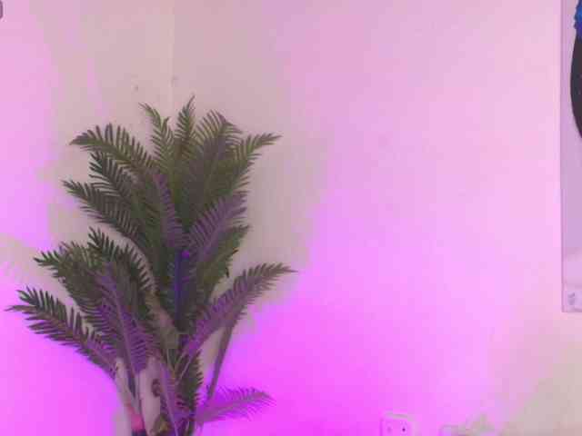 Pammela-Smith webcam