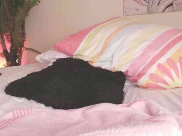 Pammela-Smith webcam