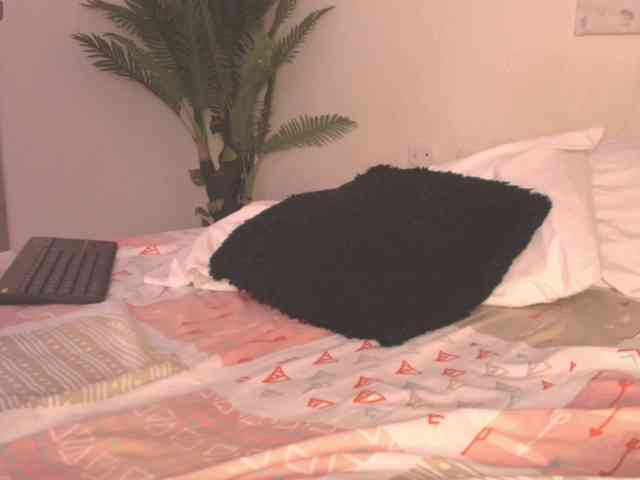 Pammela-Smith webcam