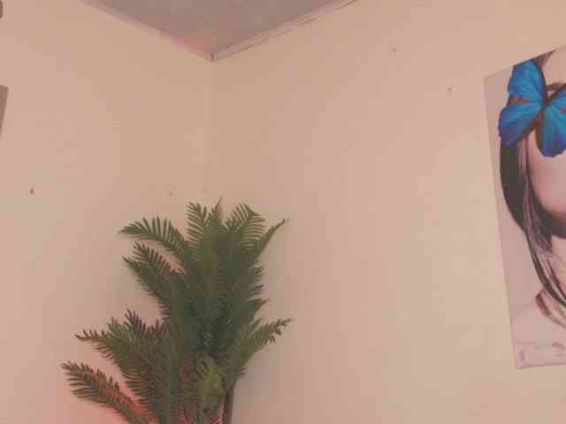 Pammela-Smith webcam