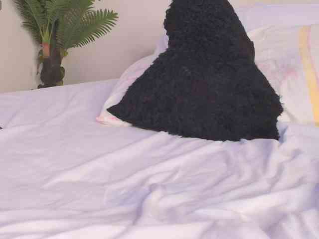 Pammela-Smith webcam