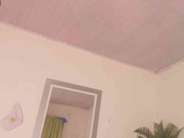 Pammela-Smith webcam