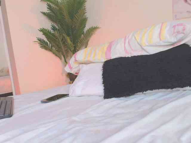 Pammela-Smith webcam