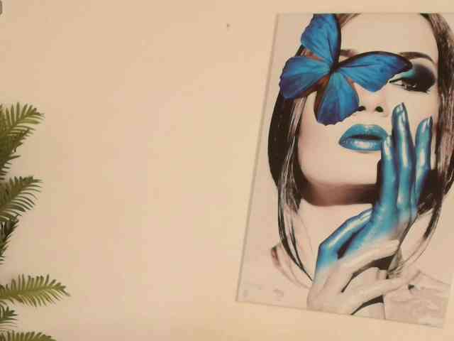 Pammela-Smith webcam