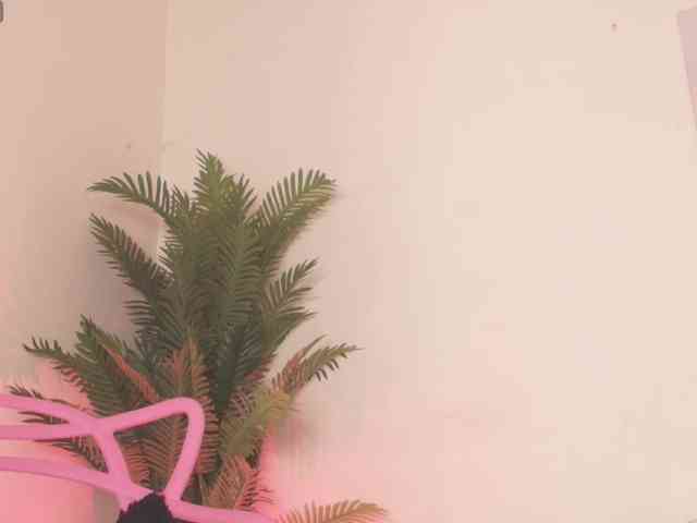 Pammela-Smith webcam