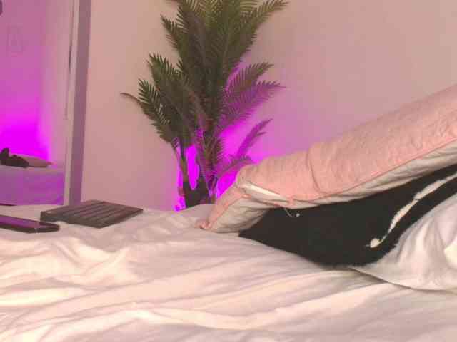 Pammela-Smith webcam