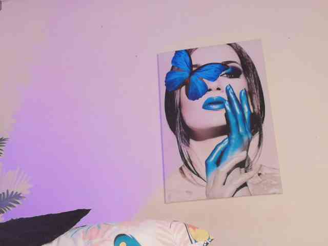 Pammela-Smith webcam