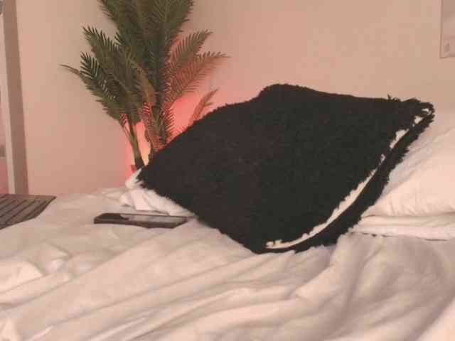 Pammela-Smith webcam